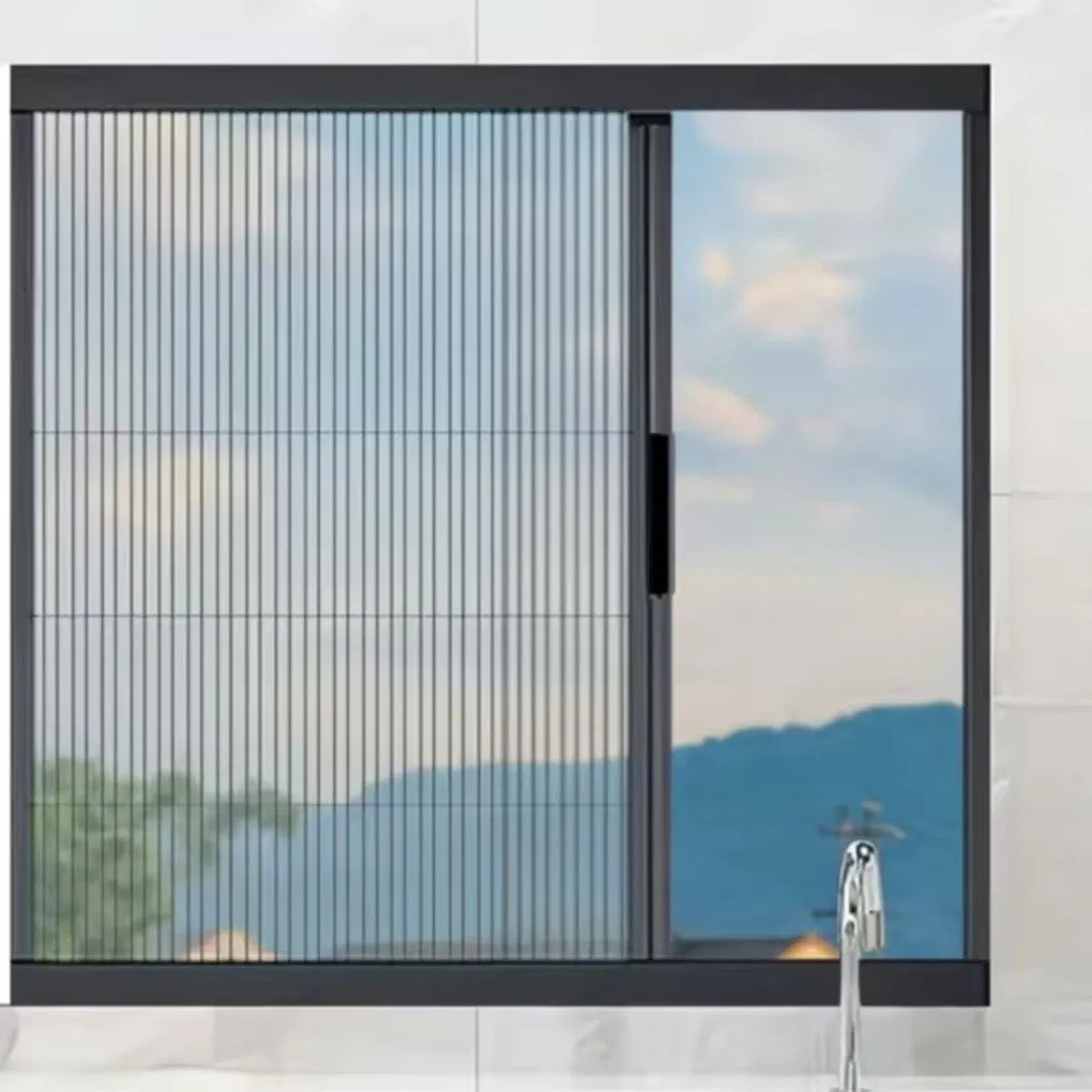Factory-Made High-Quality and Low-Priced Mosquito-Proof Retractable Metal Window and Door Screens