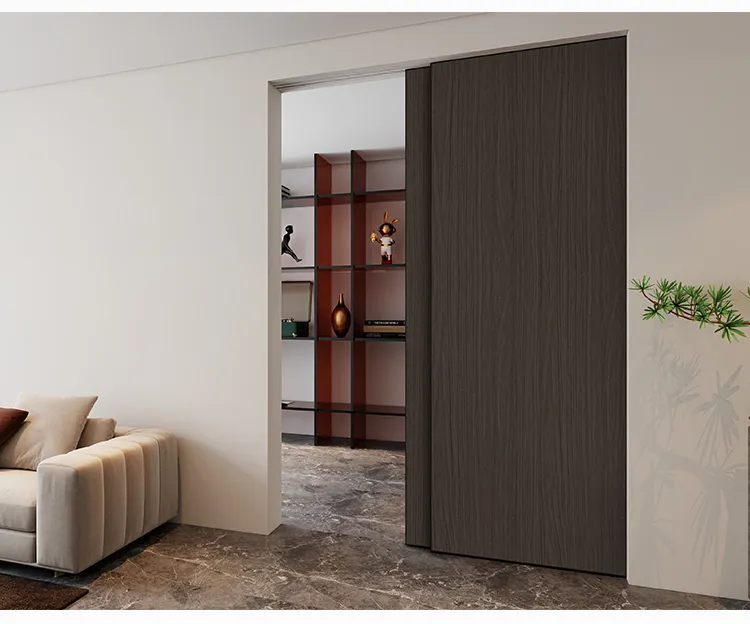 Interior Pocket Door View 10