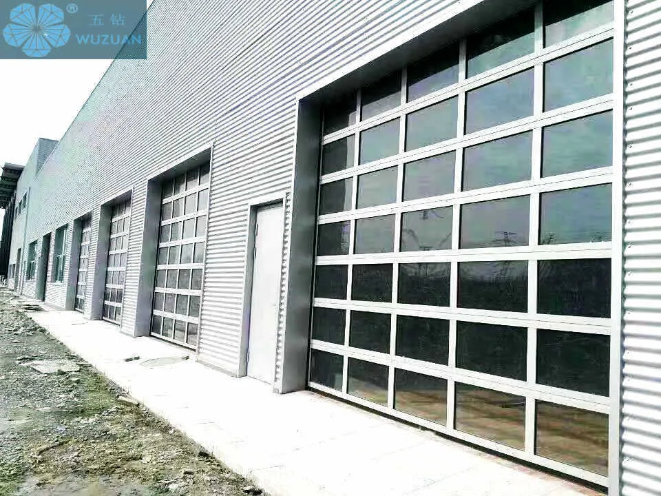 Glass Garage Door 1