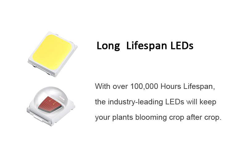 Grow Light Image 3