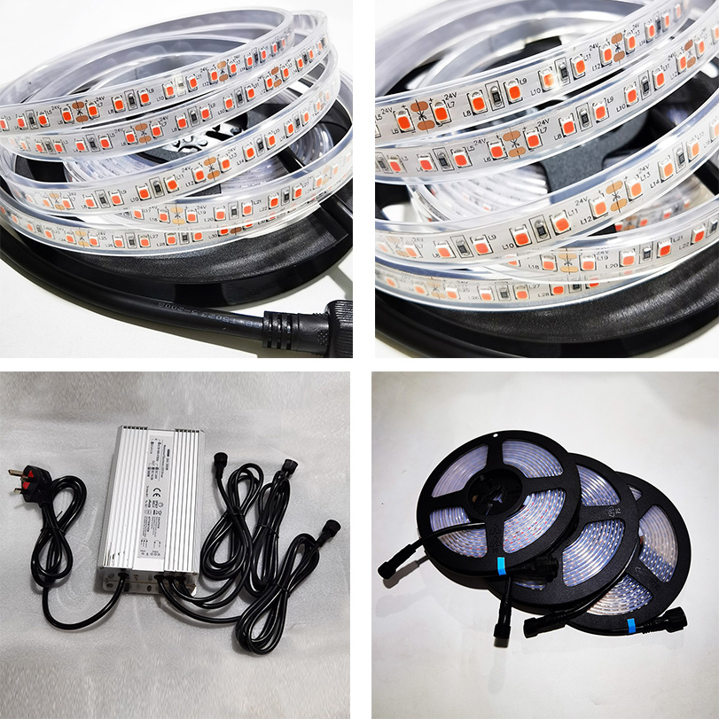 Waterproof 5v 12v 24v 2835 5050 pink Color Led Grow Plants Strip Light