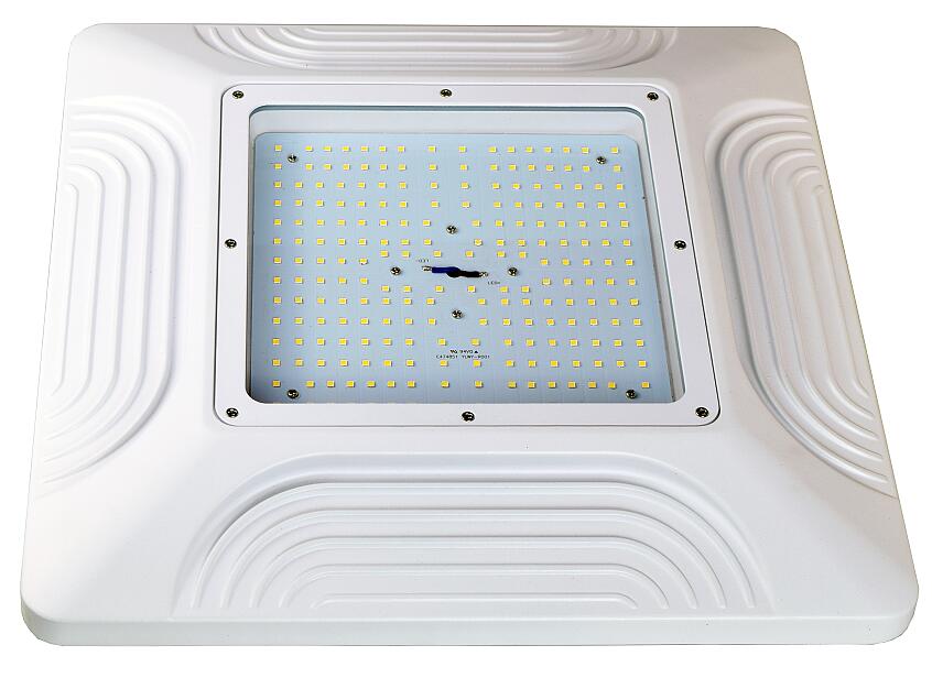 Square LED Canopy Light