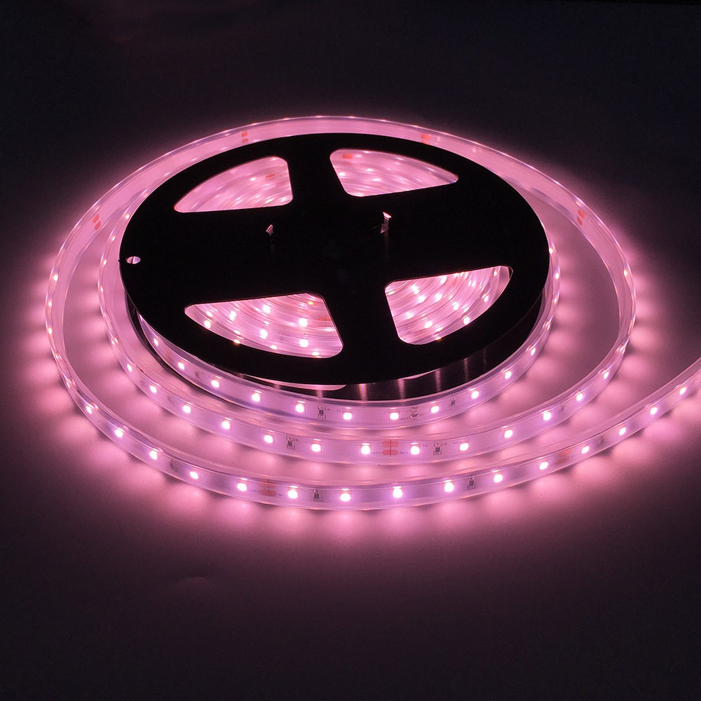 Grow Light details
