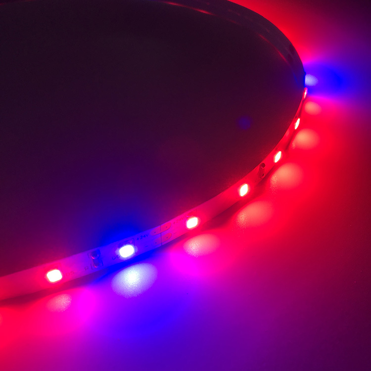 Waterproof 5v 12v 24v 2835 5050 pink Color Led Grow Plants Strip Light
