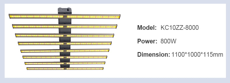 Product View 11