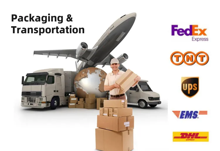 Logistic Support