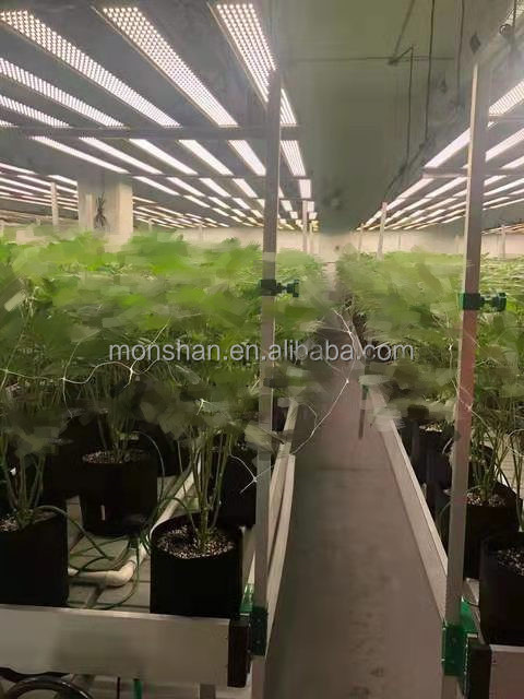 Agricultural Greenhouse Application 2