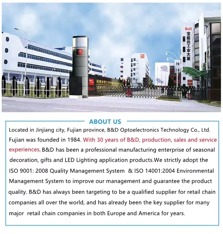 Company Profile