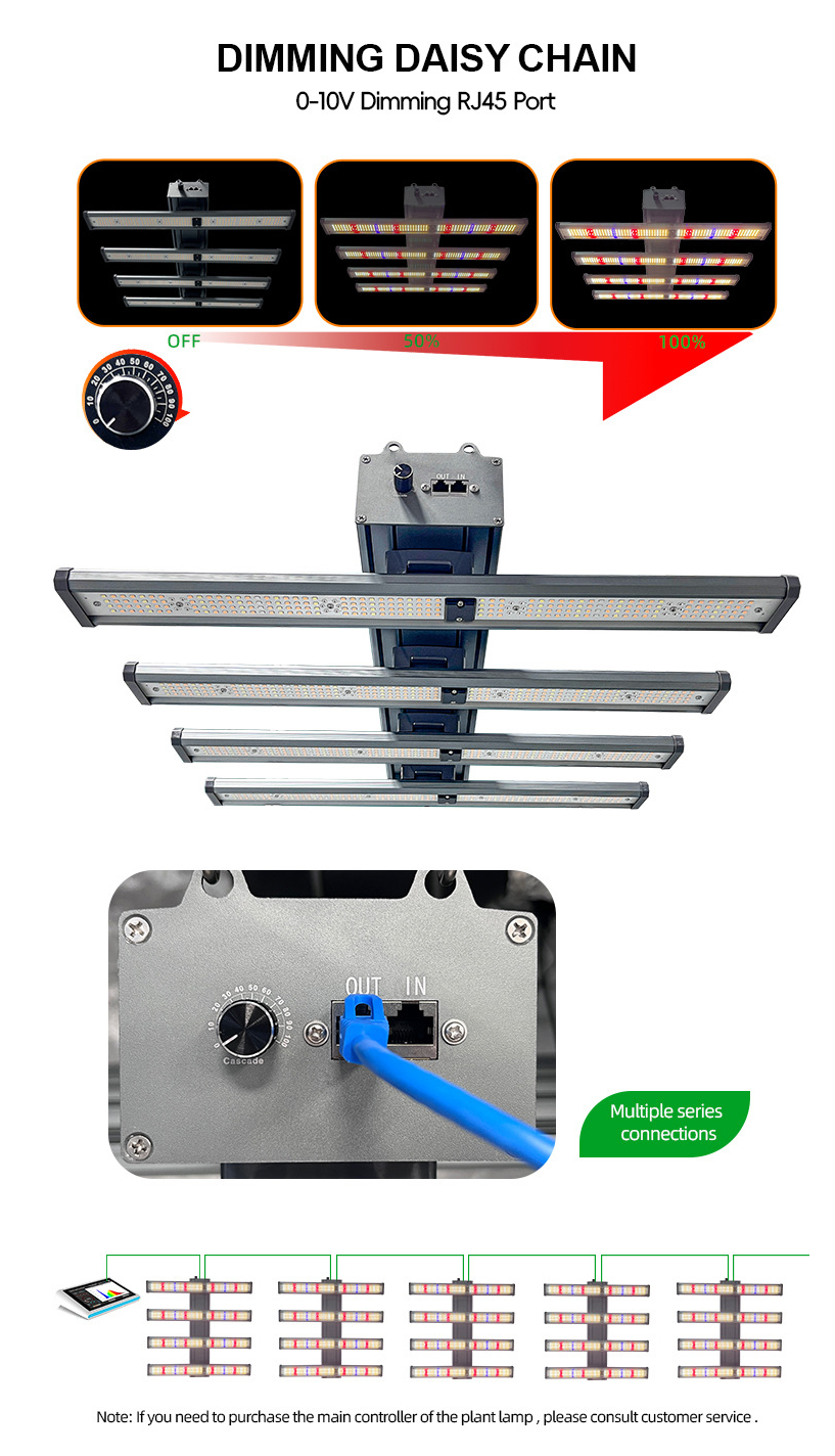 Product Detail 2