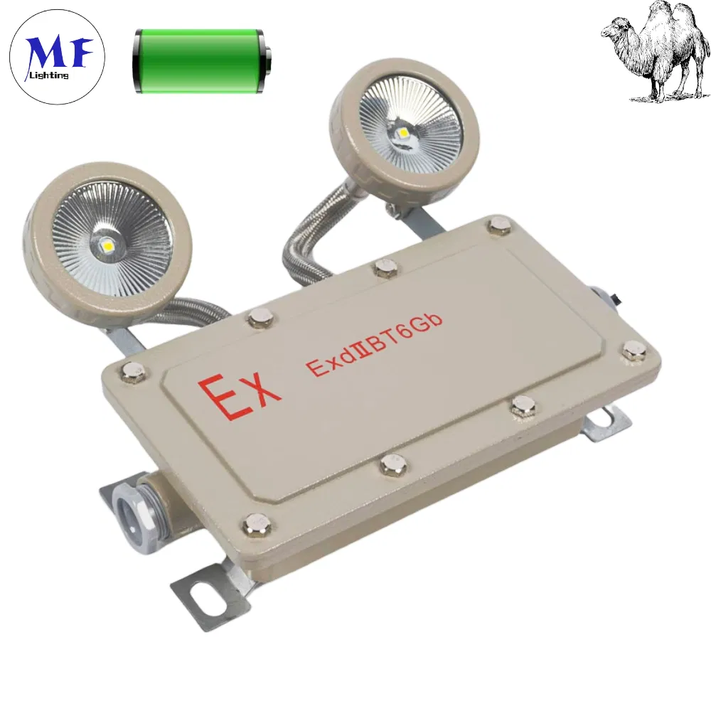 Factory Price ATEX Explosion Proof Exit 5W 10W 2heads IP65 Waterproof Indoor Outdoor LED Emergency Light for Hotel School Office Stair Stairway Corridor