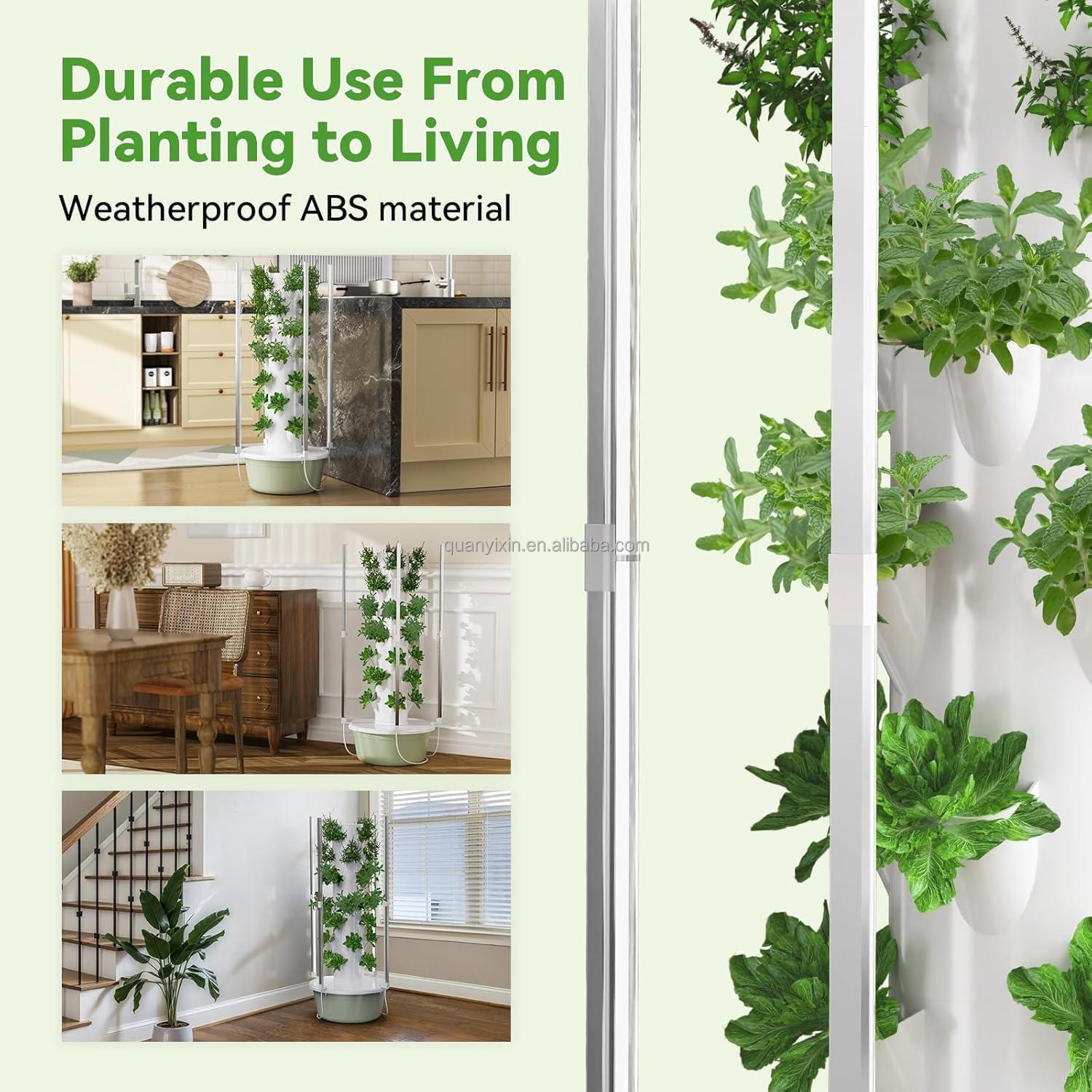 Vegetables Growing in Tower 2