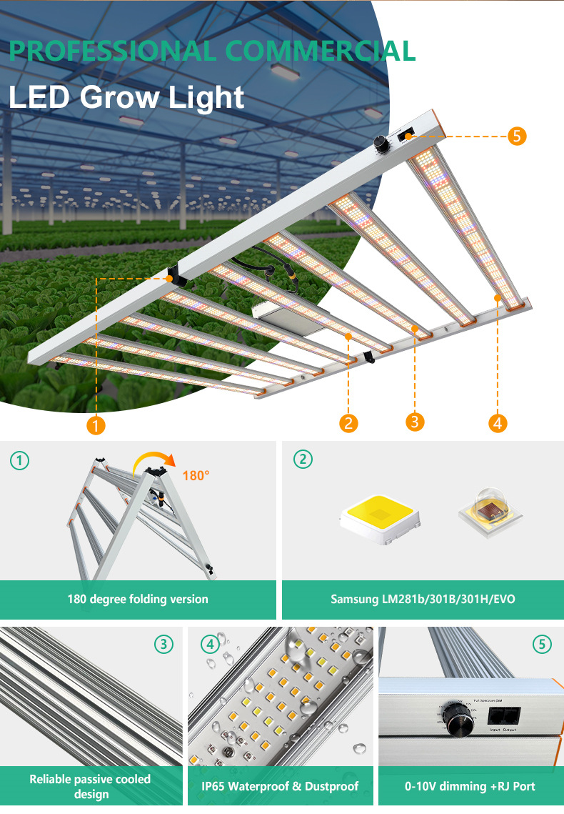 Grow Light System Installation 6