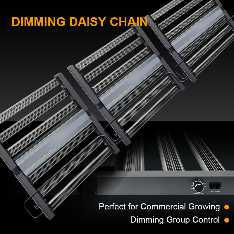 Full Spectrum Plant Mini Sunlight Lm301b Lm301h Evo 320W 480W 320 480 Watt Led Grow Light Bar