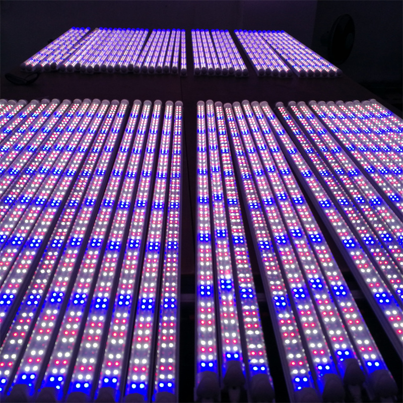 600w Full Spectrum l Led Grow Light Bulb for 4x4 Tent Lm301h Lm301h Lm301b Led Grow Light