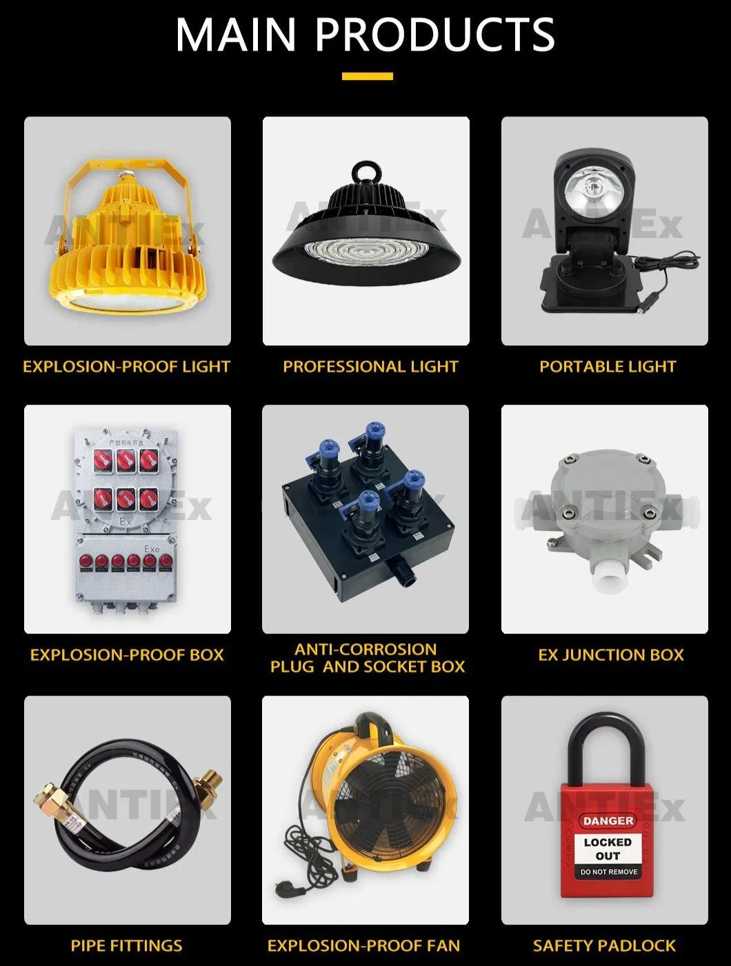 Main Products