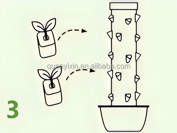 Planting Step Weeks 5-8