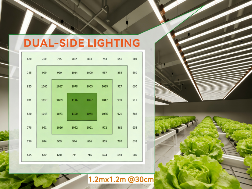 Modular 4-Sided COB LED Plant Grow Greenhouse Hydroponics Customizable 2.7mol/J Bloom Phase IP54 Rated 50000 Hours 1944mol/s