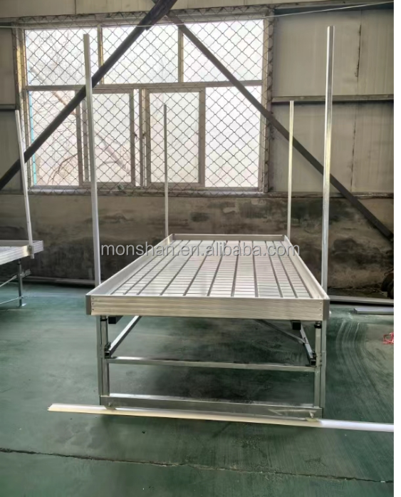 Tray Bottom Structure