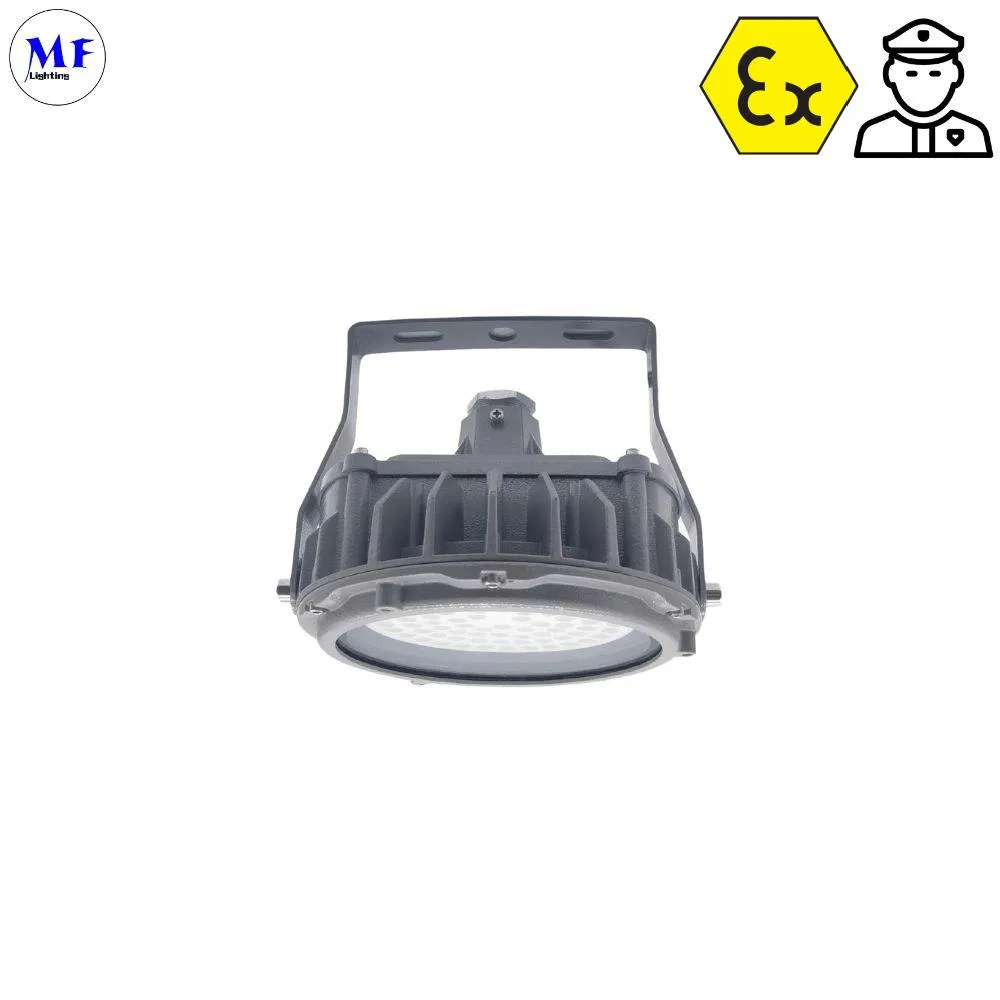 20W 40W 60W Hanging Wall Mounted Explosion Proof Lamp Pendant Anti Explosion Light LED Explosion Proof Light for Oil Gas LNG Heavy Industrials Station