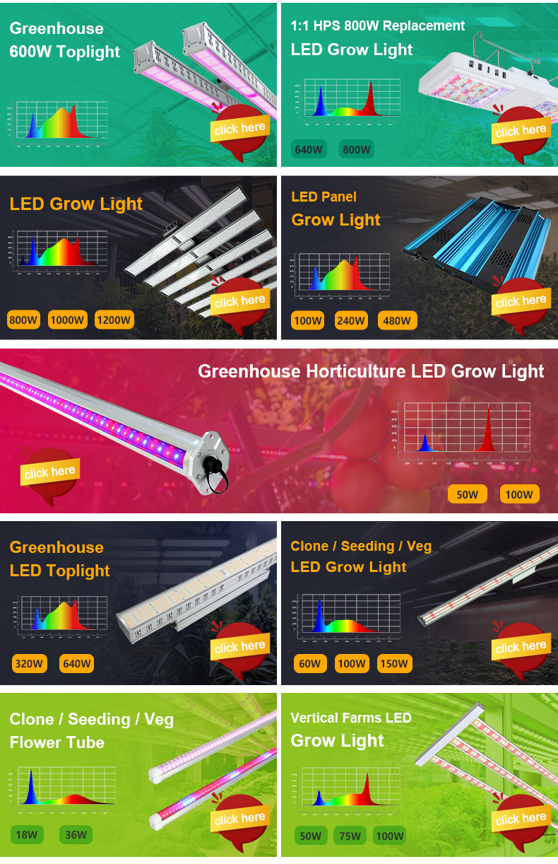 Horticultural Light Catalog 2
