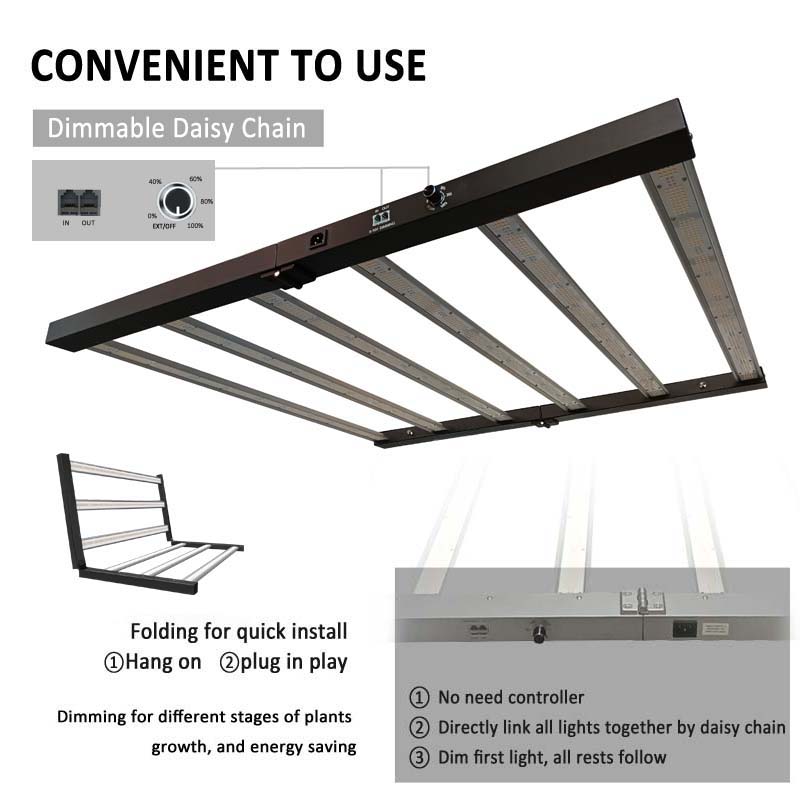 Grow Lights for the Lawn Lm301h Evo Lm281b with Driver for Rose