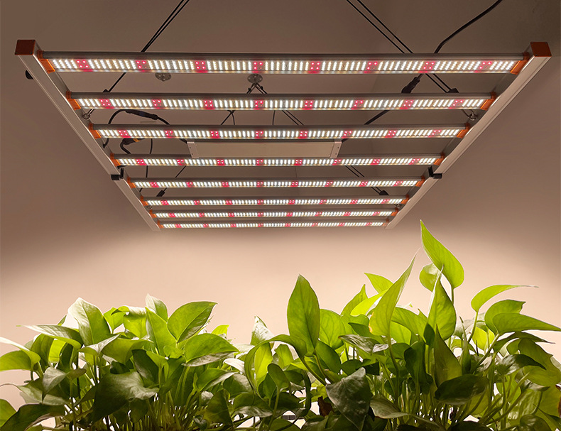 Grow Light System Installation 4