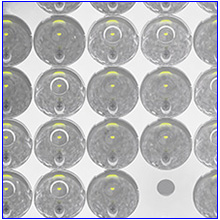 240W LED Spotlight