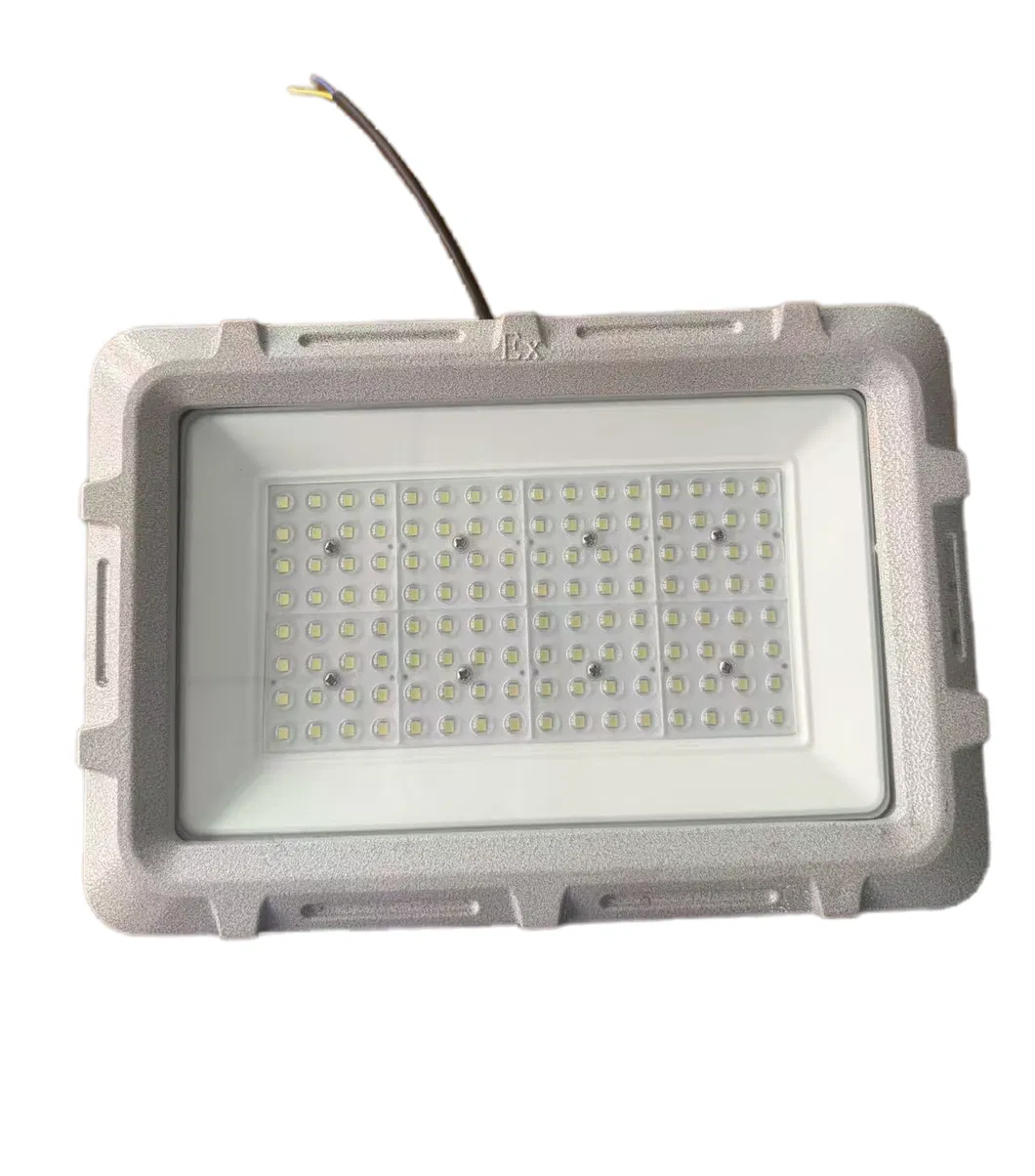 Explosion-Proof LED Light Detail 1
