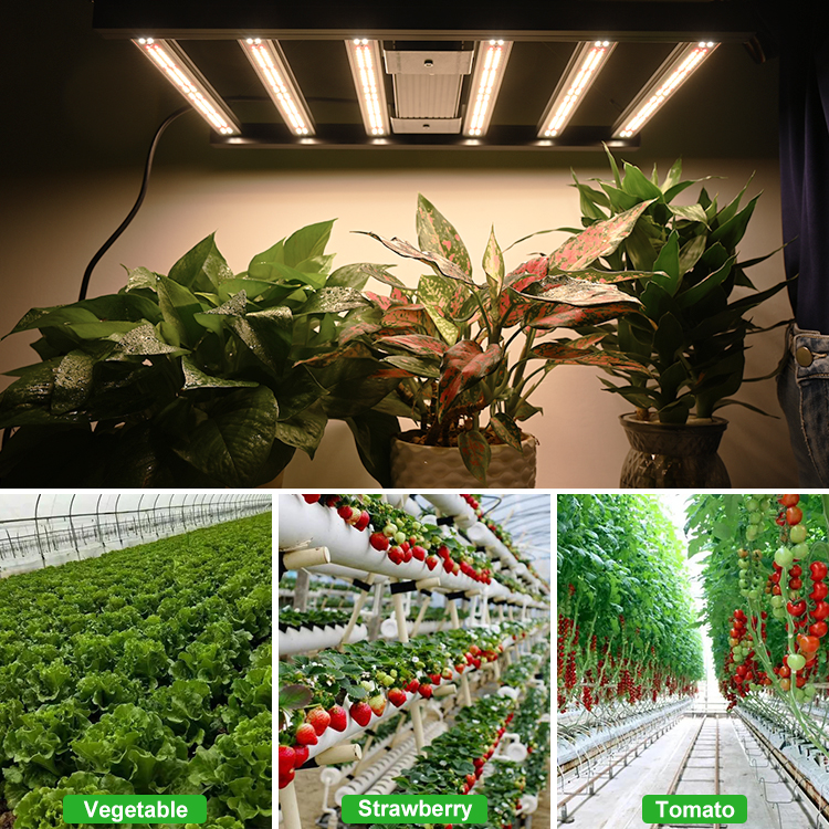Led Grow Light