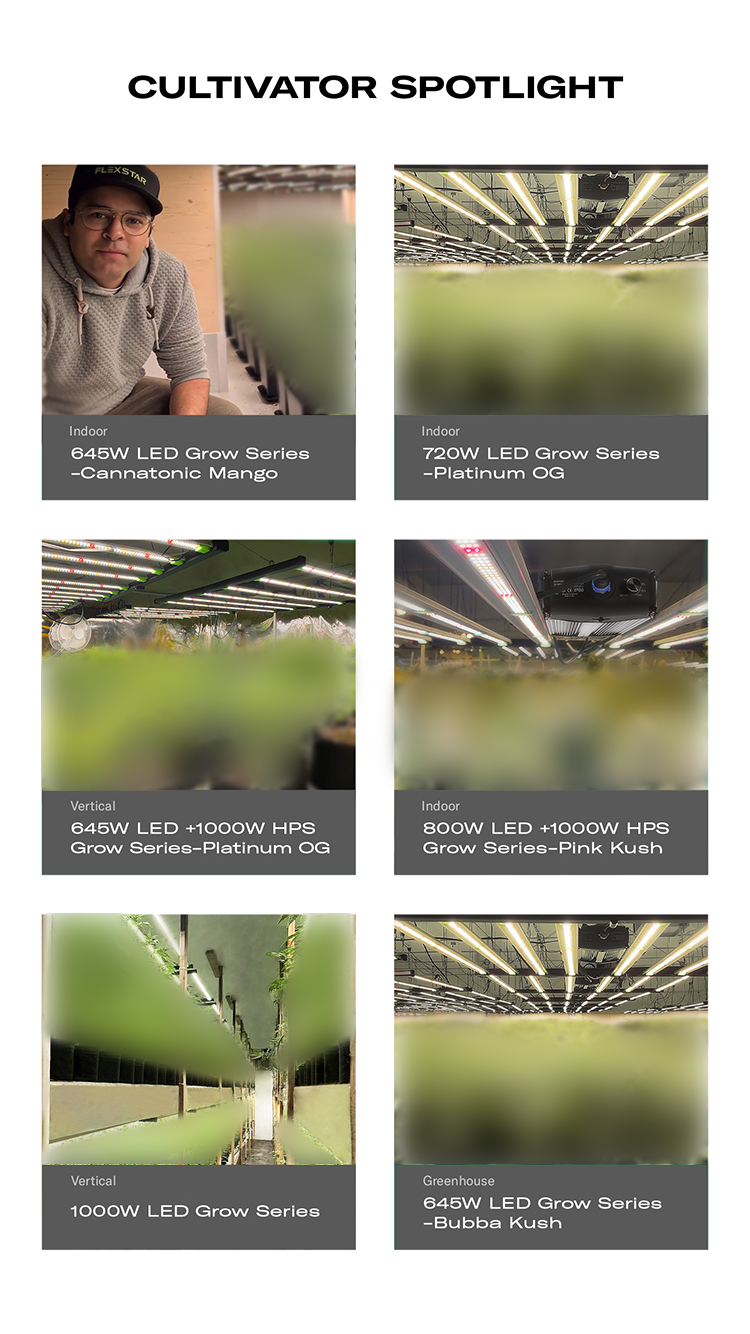 Project Case Study