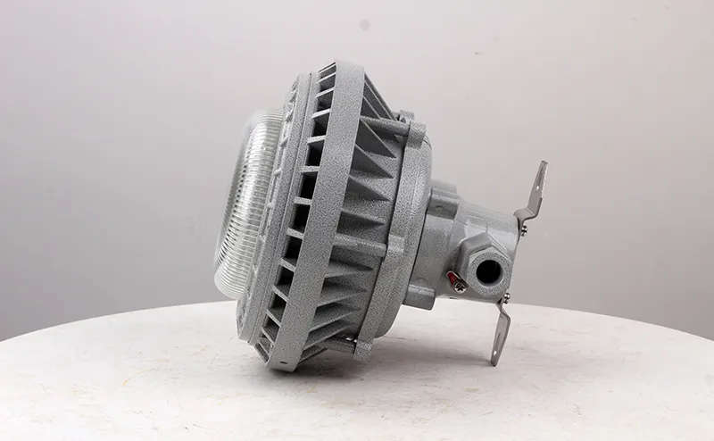 Explosion Proof Light Detail 4