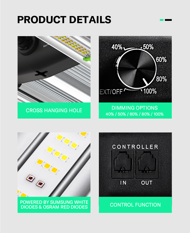 Product Layout 4