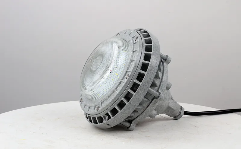 Explosion Proof Light Detail 3
