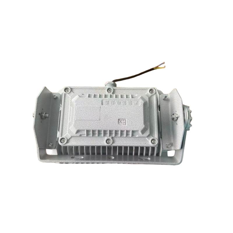 Explosion-Proof LED Light 50W 100W for Petrochemical, Mining, Hazardous Chemical Warehouse and Other Explosion-Proof Lighting Scenarios