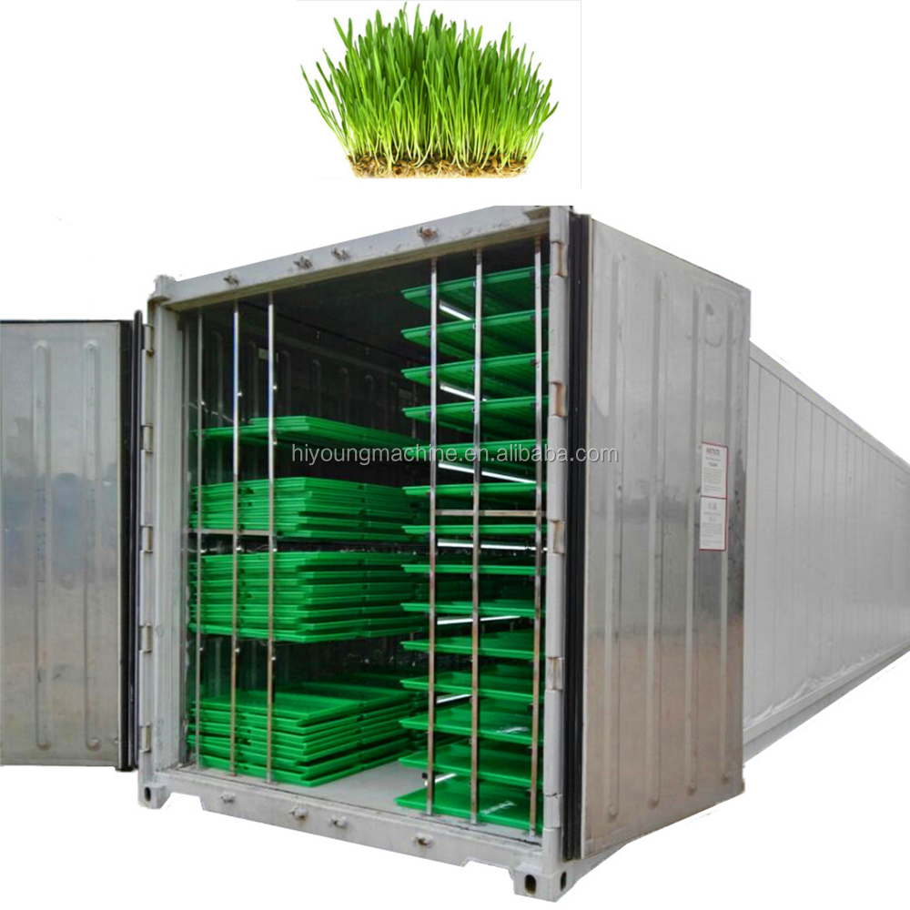 Automatic Animal Fodder Sprout Container / Hydroponic Barley Growing System With Green Trays