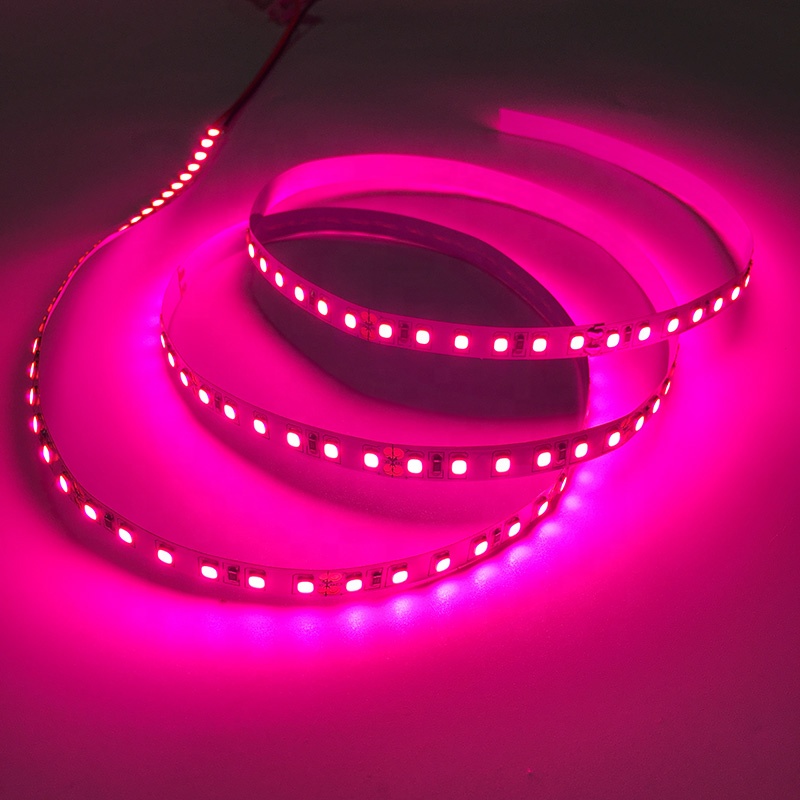 Waterproof 5v 12v 24v 2835 5050 pink Color Led Grow Plants Strip Light