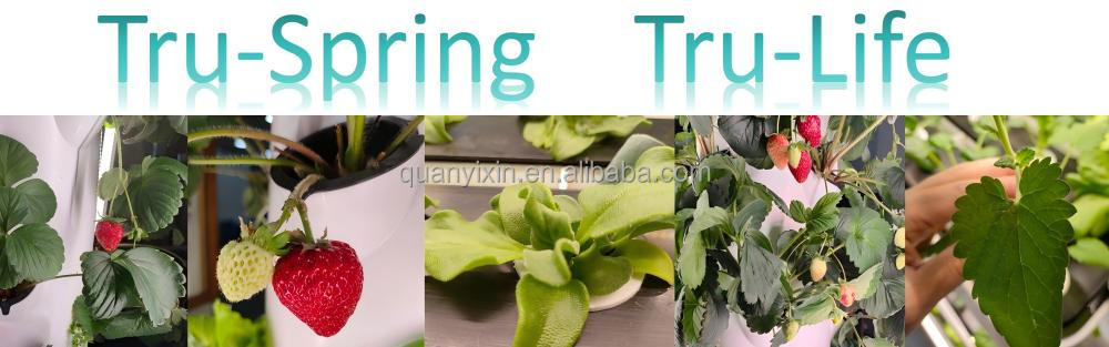 Industrial Hydroponics Project Portfolio