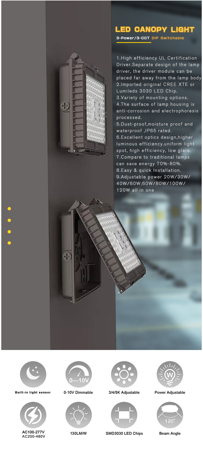 Parking Light 1