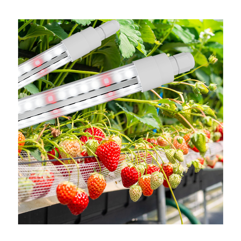 Full Spectrum LED Grow Light IP65 2.4&mu;mol/J 120&deg; Beam for Indoor Plants, Seed Starting &amp; Hydroponics