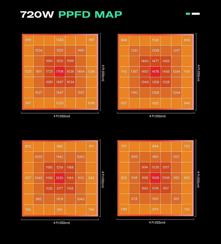 Product Layout 7