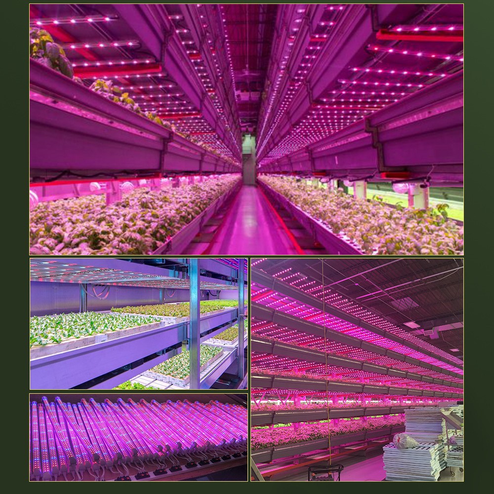 OEM ODM 15Watt T8 LED Grow Light Bar Ra80 160lm/W for Green House Garden Farm Horticulture Waterproof Bloom Application IP65