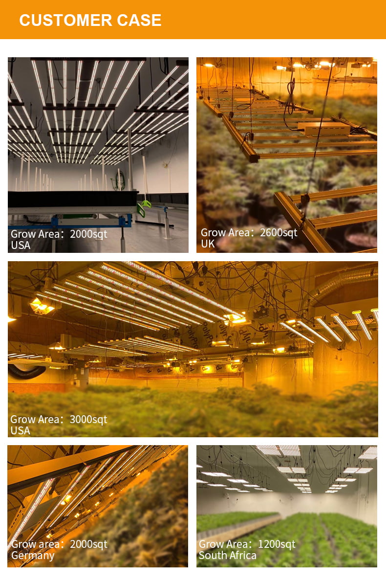 Product View 7