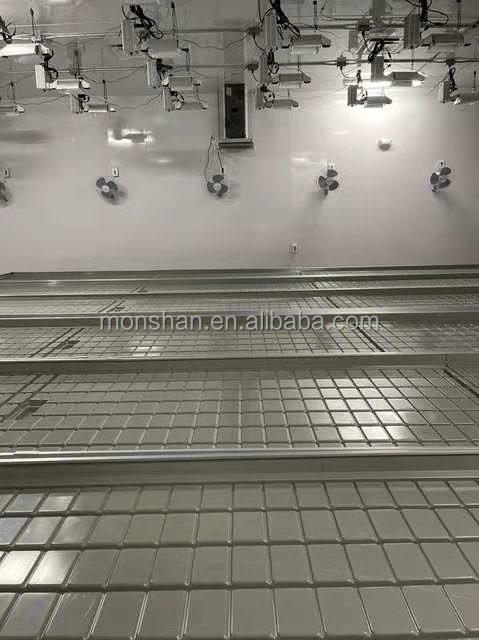 Mobile Hydroponic Ebb And Flood Tray Rolling Table Grow Sliding Bench For Greenhouse Cultivation