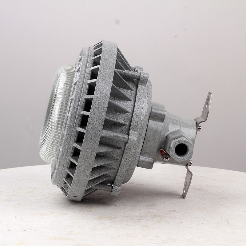 Factory Direct Explosion Proof Spotlight 40W 50W 60W Explosion-Proof Lamps Wf2 Freezer Explosion Proof Light for Oil Station
