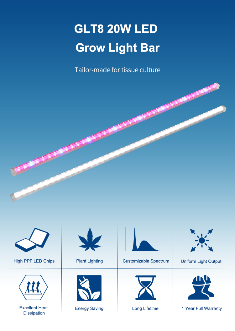 Grow Light Gallery 2