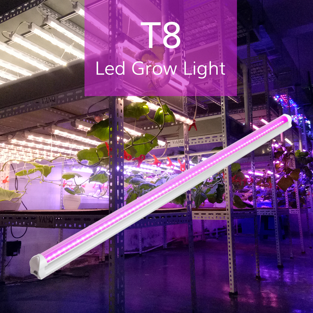 Grow Light Gallery 1