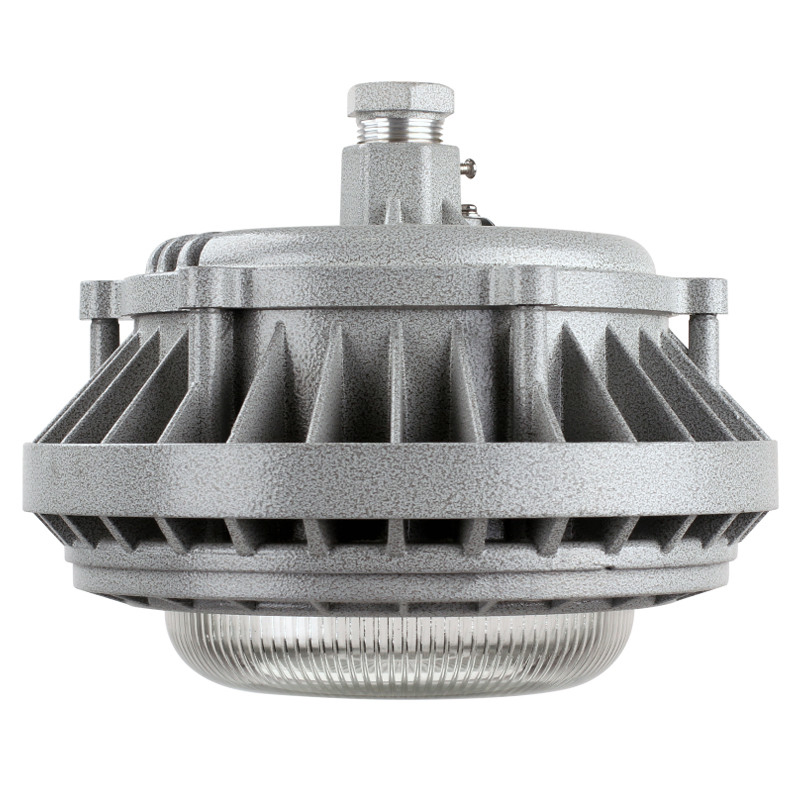 Factory Direct Explosion Proof Spotlight 40W 50W 60W Explosion-Proof Lamps Wf2 Freezer Explosion Proof Light for Oil Station