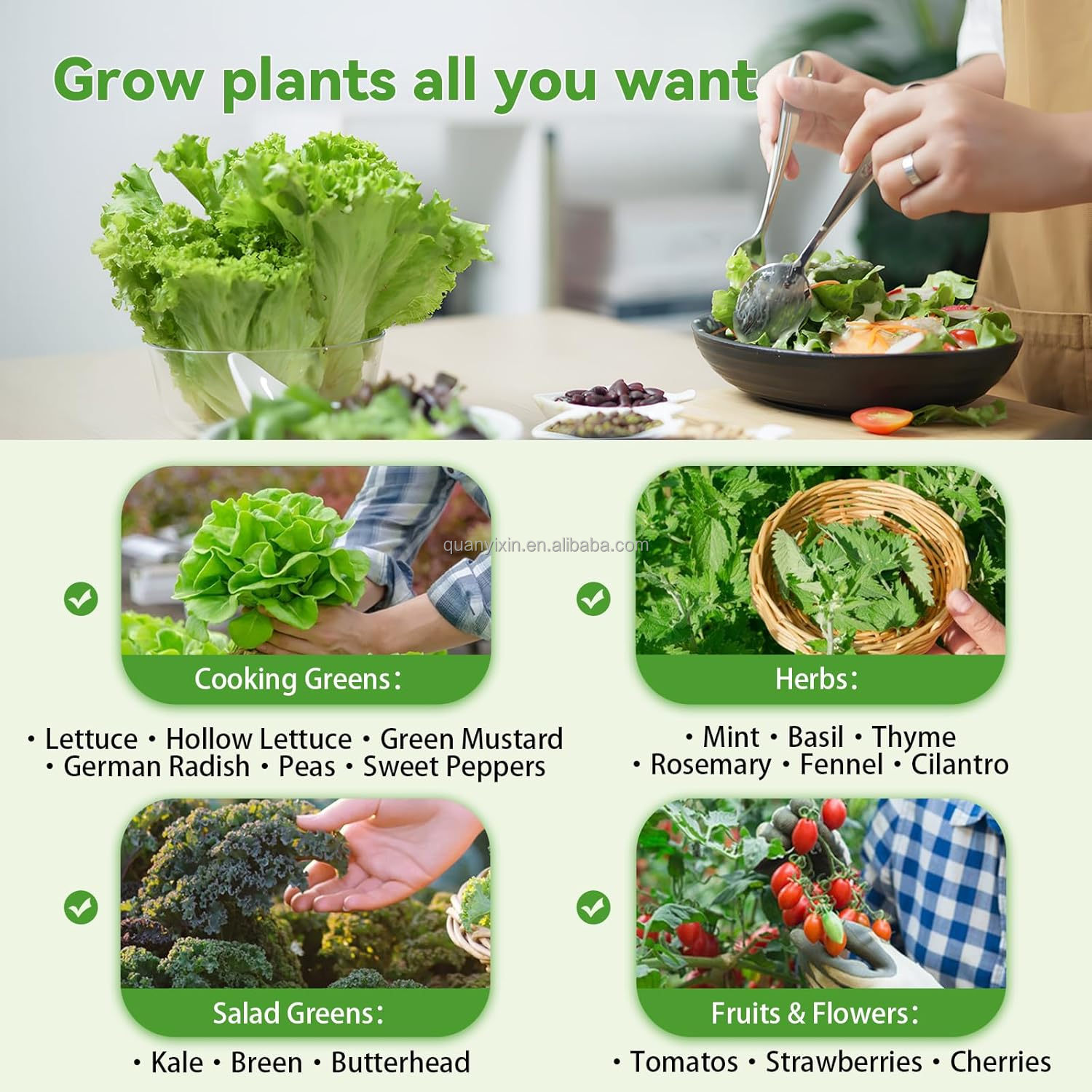 Vegetables Growing in Tower 6