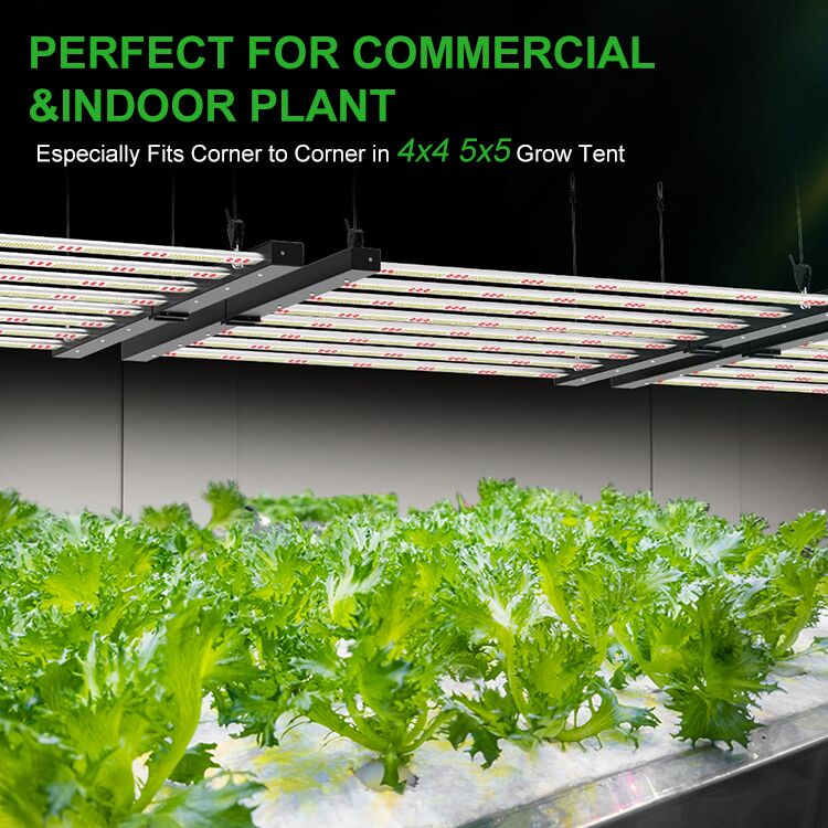 Led Grow Light