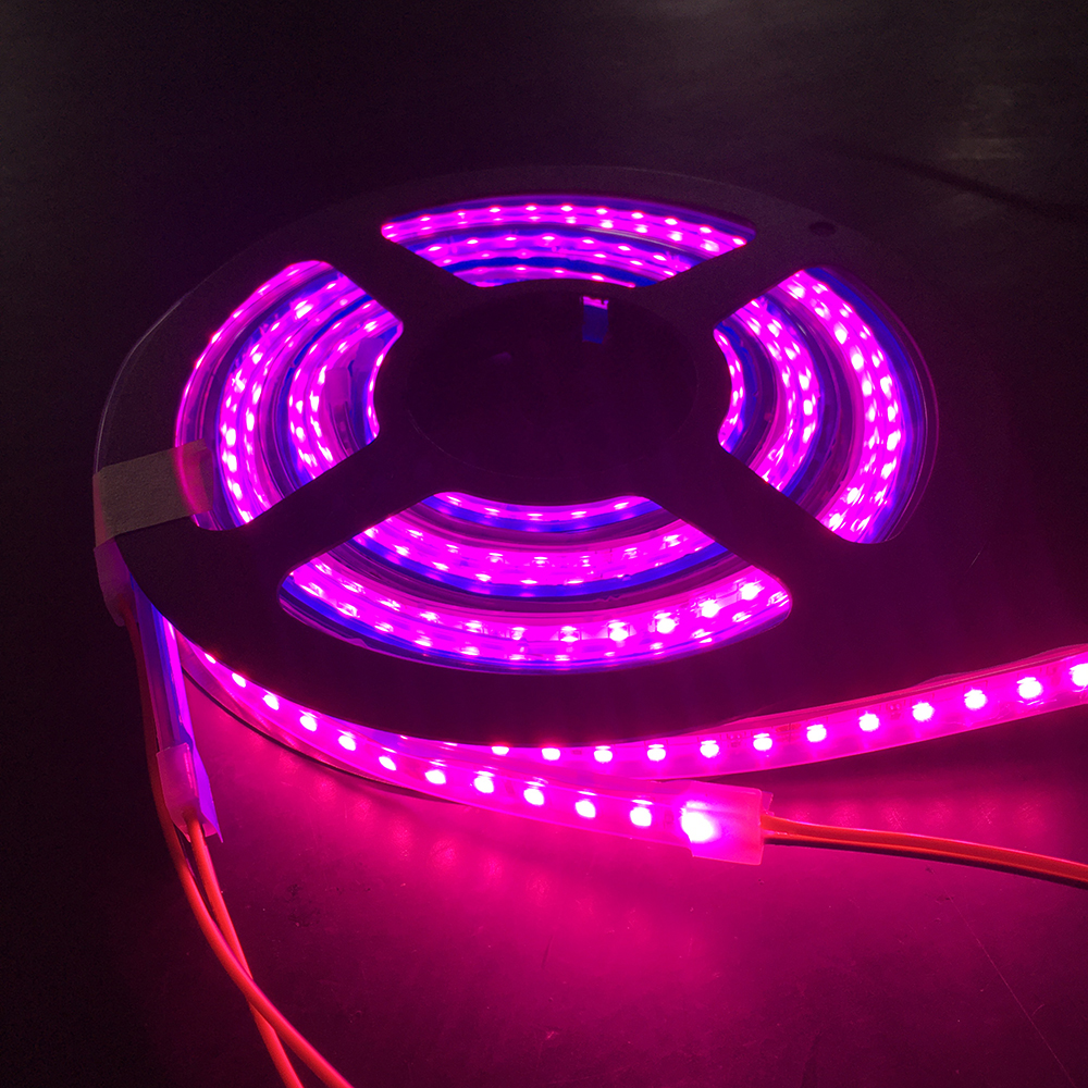 Grow Light details